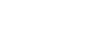 Hans Logo